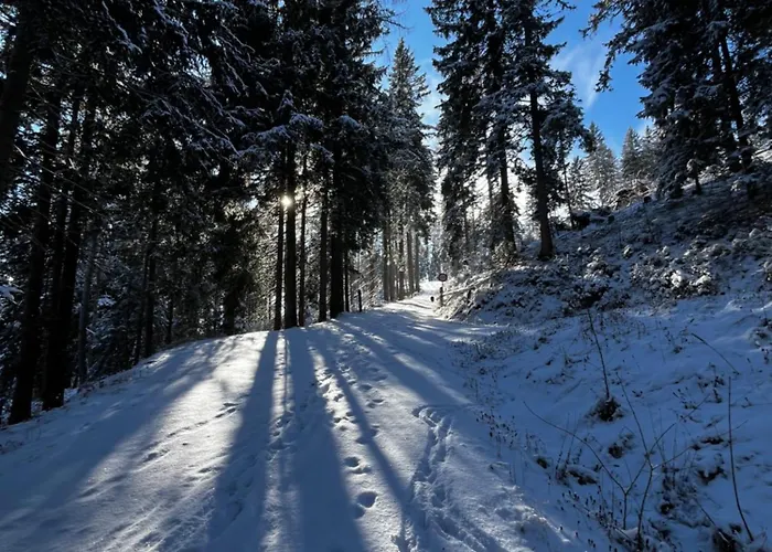 Walker Mit Privater Sauna Appartamento *